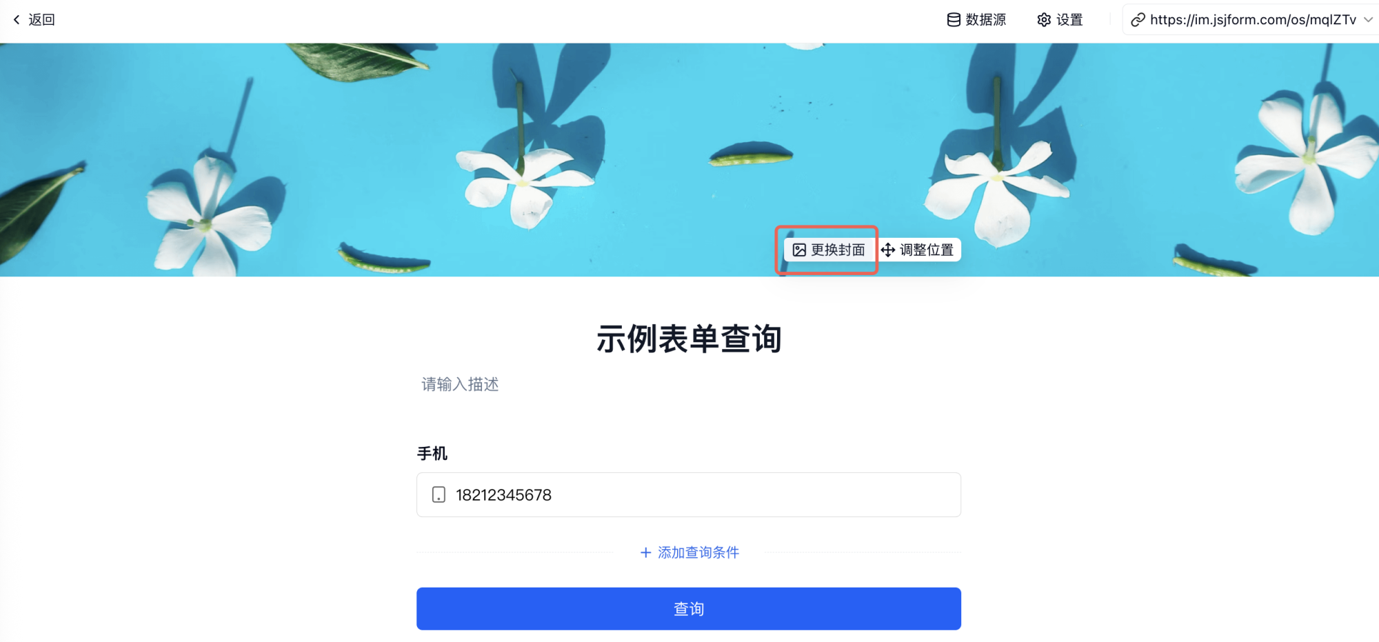 PC|对外查询|表单查询页面，顶部有返回按钮和数据源、设置等功能，页面中央有蓝色背景白