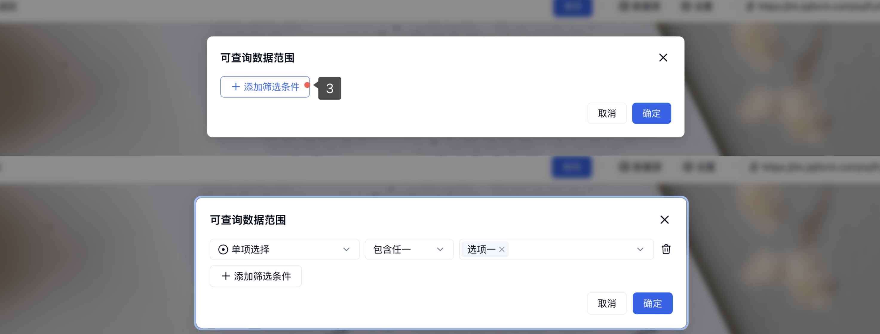 PC|对外查询|在「可查询数据范围」中点击「添加筛选条件」，设置字段、条件和值